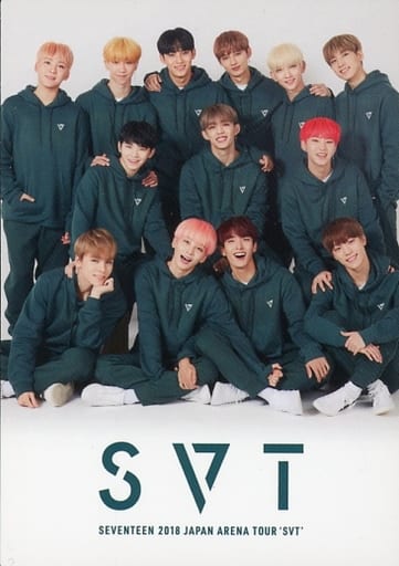 Collection Card Male Seventeen Japan Arena Tour Svt