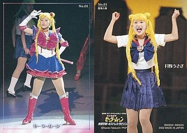 No 01 Marina Kuroki Tsuki No Usagi Sailor Moon Regular Card