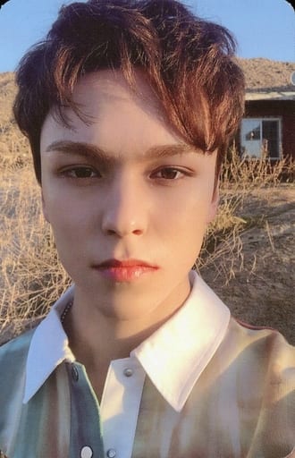 Seventeen Vernon Vernon Back Building Background Light Blue