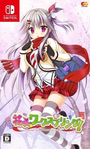 駿河屋 -<中古>花咲ワークスプリング! [通常版]（ニンテンドー