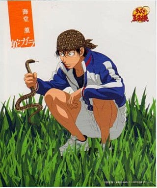 Animated Cd Kaoru Kaido Jakara Music Software Suruga Ya Com