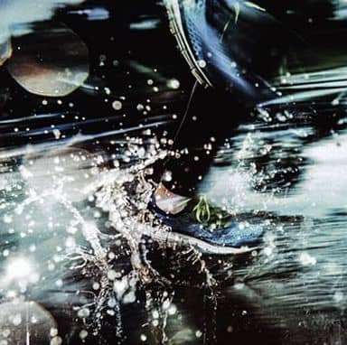 动画系光盘aqua Timez 到最后ii 普通盘 Tv动画 银魂 片尾曲 音乐软件 Suruga Ya Com