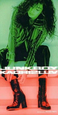 KAORI 2 LUV .ジャンク・ボーイ　8cm8センチシングル邦楽CD 駿河屋 -<中古>KAORI 2 LUV/JUNK BOY アニメ「MAZE☆爆熱時空