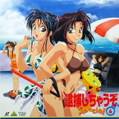 逮捕しちゃうぞカード　アニメイラスト カード 2人組 水着 逮捕しちゃうぞ 水着 カード レトロ レア 昔 当時物 珍 アニメ 希少