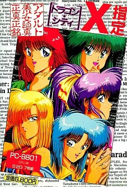 ドラゴンシティ X指定 PC-9801版 Fairytale 箱説付 Yahoo!オークション - PC-98 ドラゴンシティX指定 パッケージ（ディス