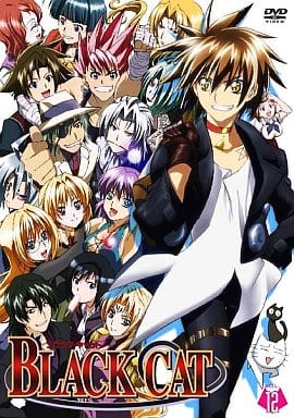 Black Cat Vol 12 Animate限定版 影像软件 Suruga Ya Com