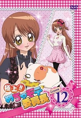 極上 超人氣委員長lesson 12 影像軟體 Suruga Ya Com