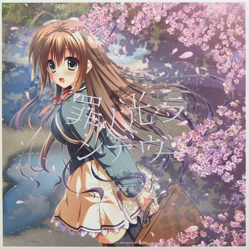 駿河屋 -【アダルト】<中古>罪ノ光ランデヴー [豪華版]（Windows