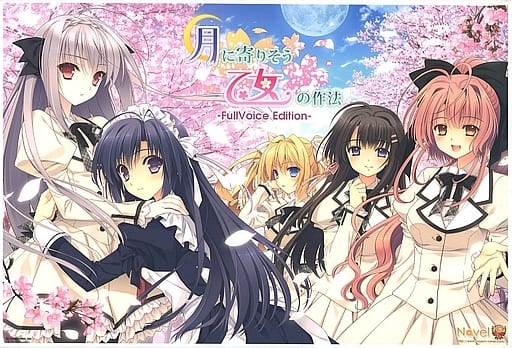 月に寄りそう乙女の作法 オフィシャル ビジュアルファンブック 帯あり 2025年最新】月に寄りそう乙女の作法 ファンブックの人気