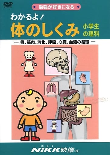 我知道 身体结构小学生的理科 骨 肌肉 消化 呼吸 心脏 血液的循环 影像软件 Suruga Ya Com