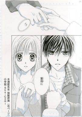 水瀬藍先生直筆サイン入り なみだうさぎ①巻 sho-comi 水瀬藍先生直筆サイン入り なみだうさぎ①巻 sho-comi 水瀬藍先生直筆