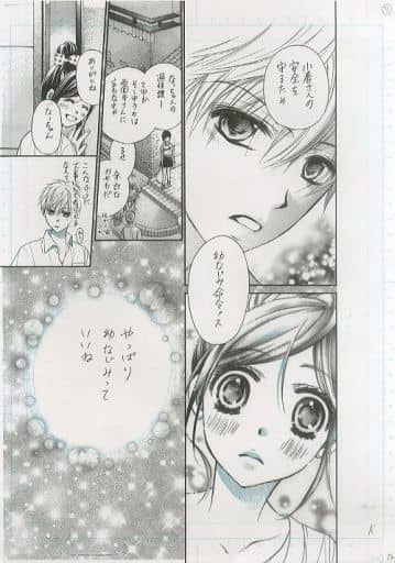 駿河屋 -<中古>水瀬藍先生 複製原画 Sho-Comi 「ハチミツにはつこい