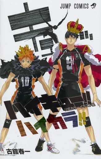 Haikyu! Color Illustration Collection Haikara!