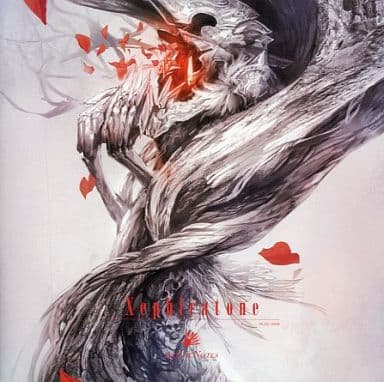 その他 Xephiratone / AcuticNotes 駿河屋 -<中古>Xephiratone / AcuticNotes（ミュージック）