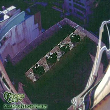 邦楽 OCTPUS CULT CD SMASHING PEACEFUL SOCIETY 駿河屋 -<中古>オクトパス・カルト / SMASHING PEACEFUL SOCIETY（邦楽）
