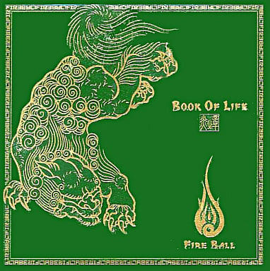 その他 FIRE BALL - BOOK OF LIFE [2LP] Amazon.co.jp: BOOK OF LIFE~炎の章~: Music