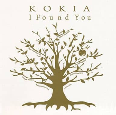 Kokia I Found You Regular Edition Music Software Suruga Ya Com