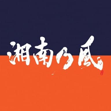 湘南乃風 湘南乃風 Come Again 普通盤 音樂軟體 Suruga Ya Com