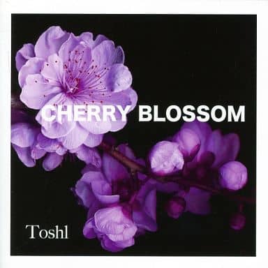 駿河屋 -<中古>Toshi / CHERRY BLOSSOM（邦楽）