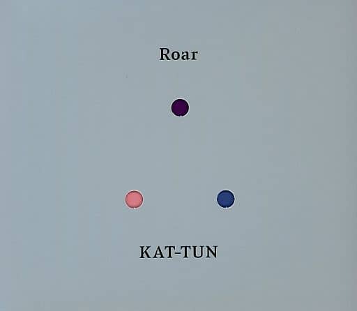 KAT-TUN Roar ファンクラブ限定 DVD FC限定 完全受注 KAT-TUN Roar ファンクラブ限定 CD DVD FC限定 完全受注の通販