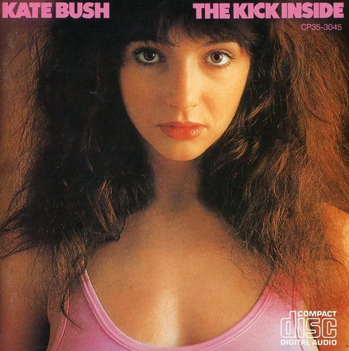 Kate Bush Music Software Suruga ya kate-bush-music-software-suruga-ya