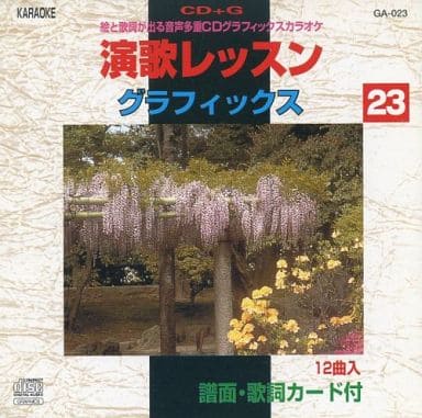 駿河屋 -<中古>CD+G 絵と歌詞が出る音声多重カラオケ 演歌レッスン 