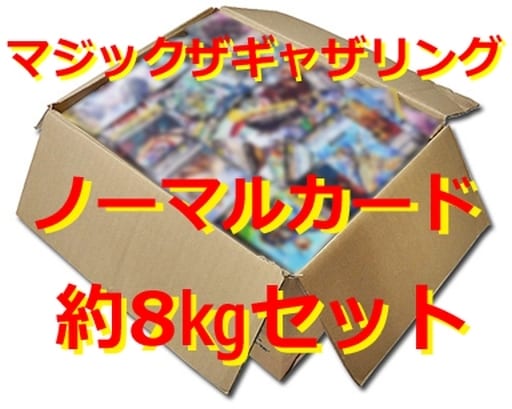 駿河屋 -<中古>じゃんくトレカ 「マジックザギャザリング