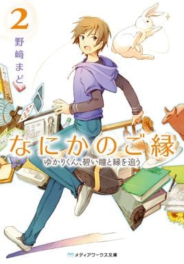 Light Novel Yukari Has A Blue Eye And Follows Her 2 Mediaworks Library Book Suruga Ya Com