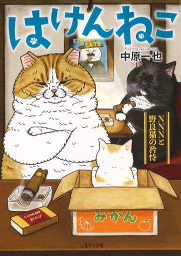 轻小说文库大小女性向荣猫 Nnn和野猫的骄傲 二见莎拉文库 书 Suruga Ya Com