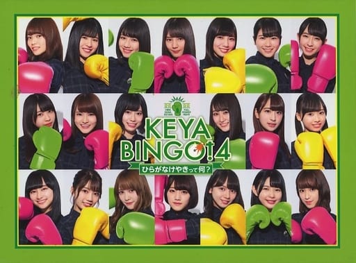 全力！欅坂46バラエティー KEYABINGO！3 Blu-ray BOX mxn26g8 - その他