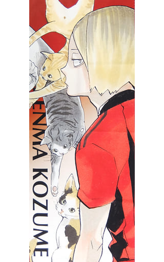 孤爪研磨 大判タオル ジャンプフェスタ2017 ハイキュー!! 駿河屋 -<中古>孤爪研磨 キャラクター大判タオル 「ハイキュー