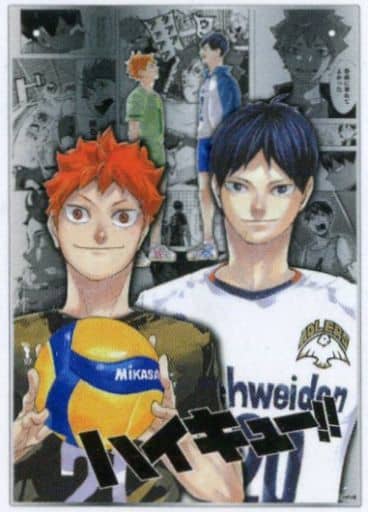 ハイキュー 日向翔陽&影山飛雄 大判アクリルミラーパネル(壁掛けタイプ) 駿河屋 -<中古>日向翔陽&影山飛雄 大判アクリルミラーパネル