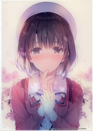 雑貨　加藤恵(ニュータイプ表紙) アクリルアート 「冴えない彼女の育てかたFes. Fine ～glory moment～」 駿河屋 -<中古>加藤恵(ニュータイプ表紙) アクリルアート 「冴え