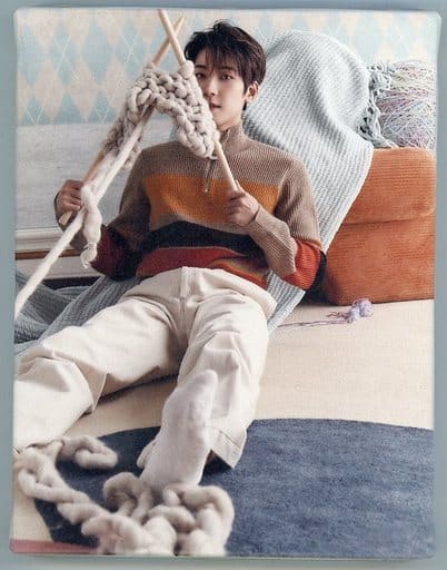 SEVENTEEN あいのちから フォトキャンバス ウォヌ 駿河屋 -<中古>ウォヌ フォトキャンバス 「SEVENTEEN POP-UP STORE