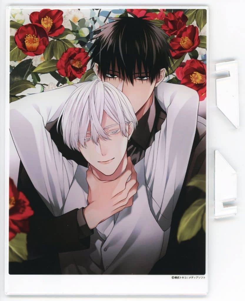 駿河屋 -<中古>椿木征思＆加白累 A5アクリルボード 「くじメイト 桐式