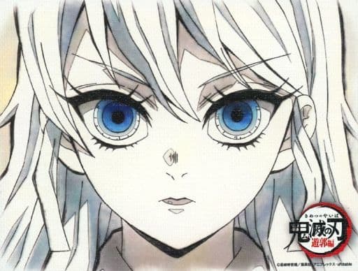 鬼滅の刃　ダイニング　堕姫　梅　キャンバスパネル　コンプリートセット 駿河屋 -<中古>梅(堕姫) キャンバスパネル 28 「鬼滅の刃 無限列車編