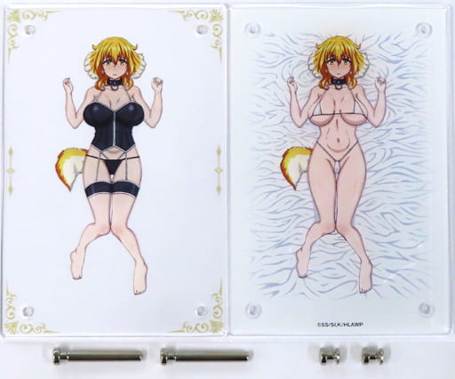 駿河屋 -<中古>ロクサーヌ ギミックアクリルパネル 「異世界迷宮で