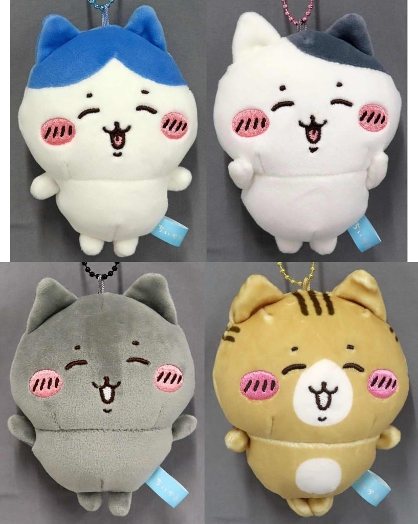 駿河屋 -<中古>ハチワレ＆シロクロ＆クロ＆チャシロ ハチワレと