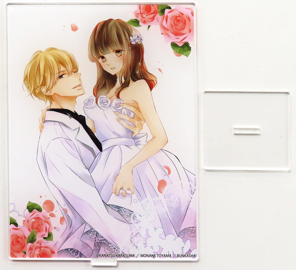 駿河屋 -<中古>[単品] 1巻表紙イラスト アクリルパネル 「コミックス 