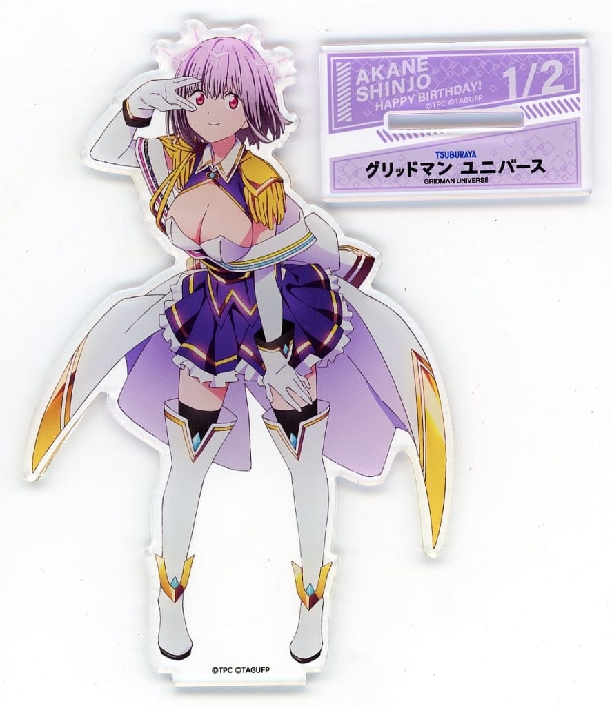 駿河屋 -<中古>新条アカネ(ニューオーダー) -SSSS.BIRTHDAY- ビッグ