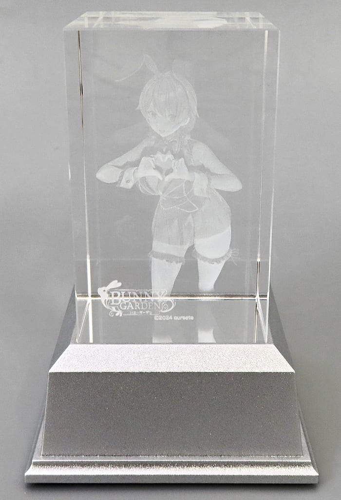 駿河屋 -<中古>[単品] 花奈 3Dクリスタル 「Switchソフト バニー