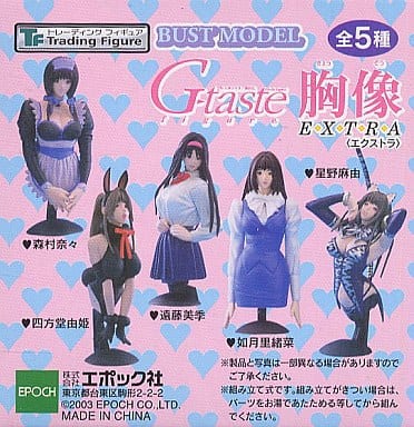 駿河屋 -<新品/中古>Trading Figure G-taste 胸像EXTRA ブックタイプ