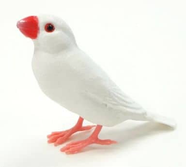 交換式公仔文鳥 白 雀和文鳥收藏 玩具模型 Suruga Ya Com 交換式公仔文鳥 白 雀和文鳥收藏 玩具模型 Suruga Ya Com