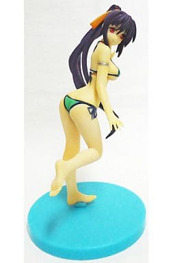 駿河屋 -<中古>姫島朱乃 マイクロビキニVer. 「ハイスクールD×D」 月刊
