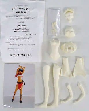 チェリーブロッサム ふしぎの海のナディア ナディア ガレージキット キャストオフ可能】1/7 「ナディア 南の島服Ver」 ガレージキット塗装