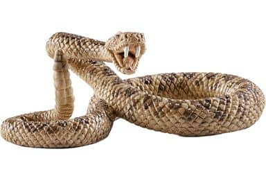 Figure Rattlesnake 「 Schleich - Schleich - 」 No. 14740 | Toy Hobby