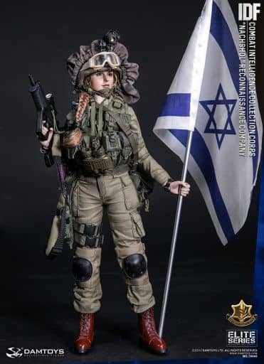 w*6様 1/6 エリートシリーズ IDF コンバット インテリジェンス コレク 駿河屋 -<中古>IDF コンバット インテリジェンス コレクション