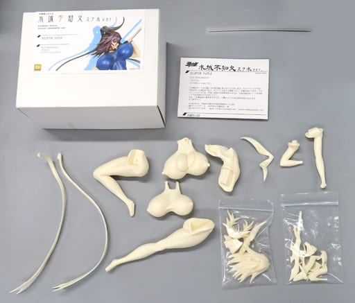 駿河屋 -アダルト<中古>水城不知火 スク水ver. 「対魔忍ユキカゼ
