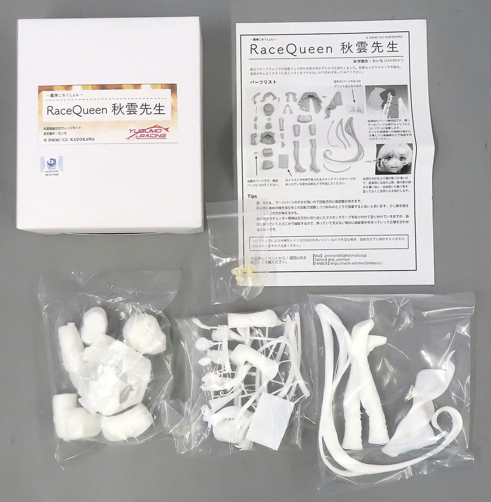 駿河屋 -<中古>Race Queen 秋雲先生 「艦隊これくしょん～艦これ