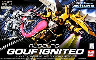 Plastic Model 1 144 Hg グフイグナイテッド Rudolph Wittgenstein Dedicated Aircraft Mobile Suit Gundam Seed Destiny Toy Hobby Suruga Ya Com